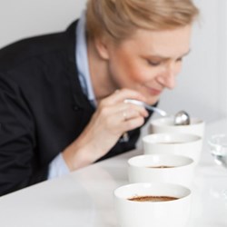 Job Meal kahvi tasting coffee master