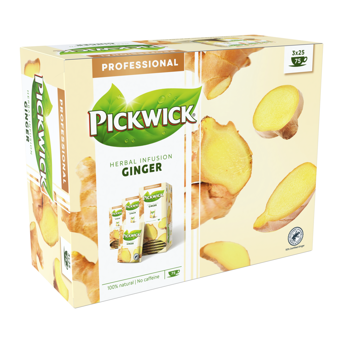 Inkivääri Pickwick yrttihauduke